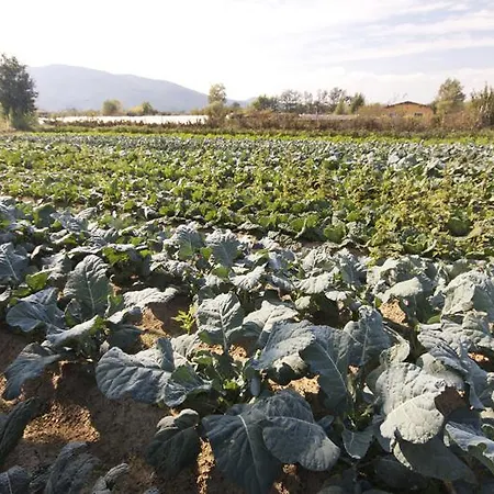 Farm stay L'ortobio Sarzana